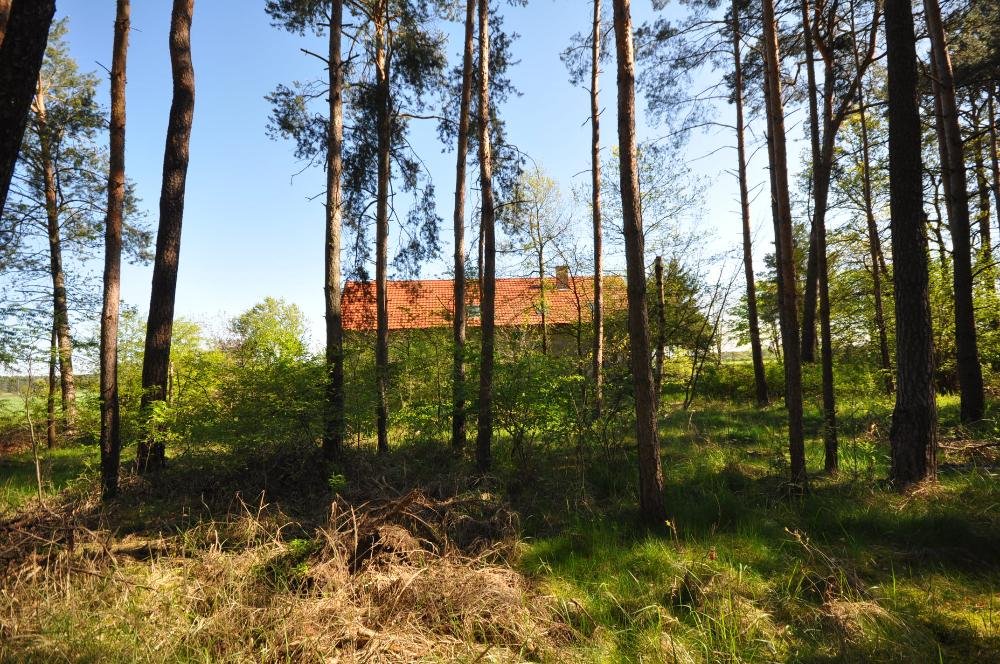 Südansicht auf das Nebengebäude vom Wald aus