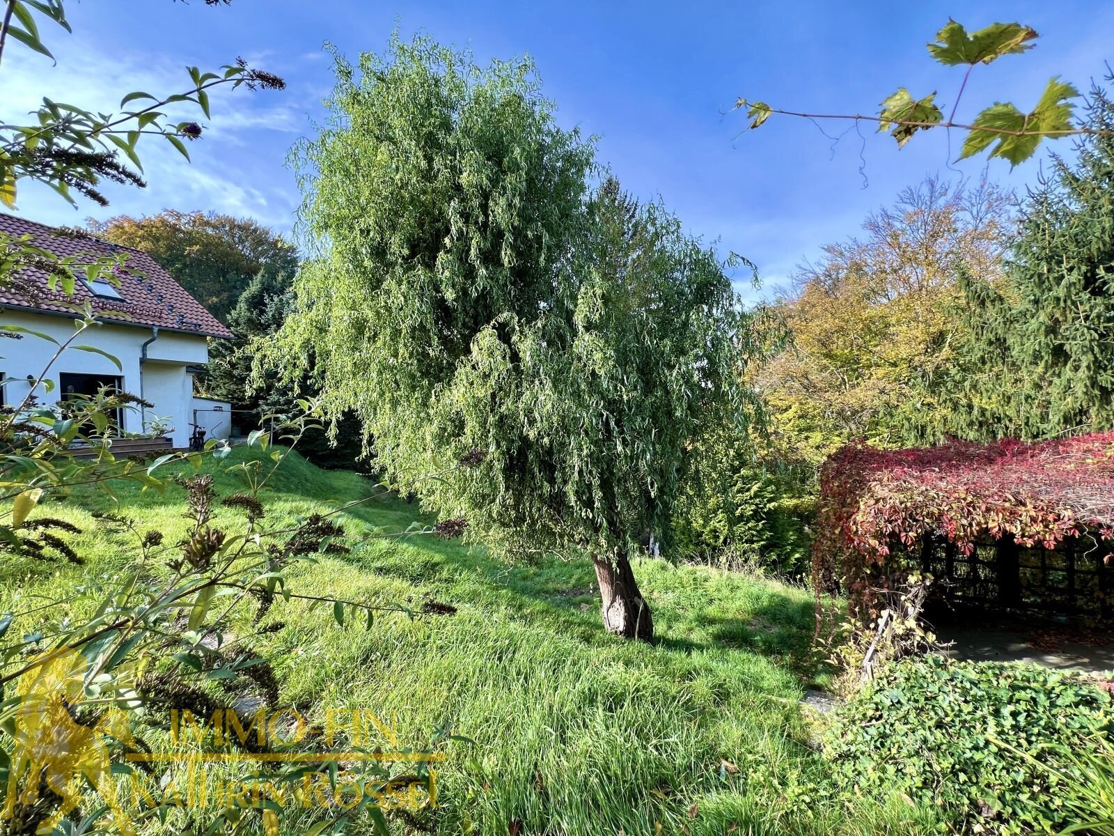 Blick in den Garten 