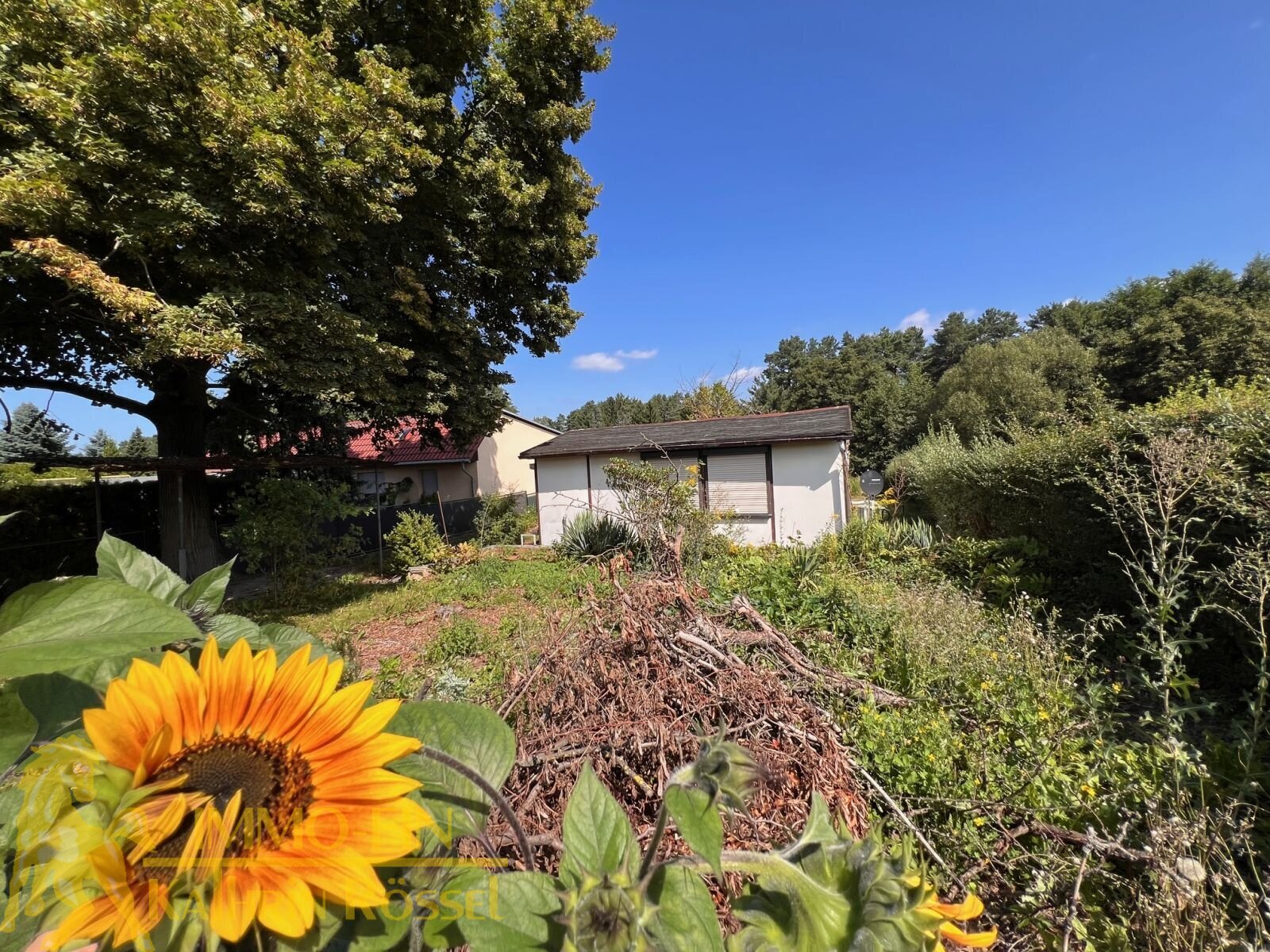Baugrundstück mit Blick auf den See – Ihr Zuhause in der Natur am ruhigen Stadtrand Baugrundstück mit Blick auf den See – Ihr Zuhause in der Natur am ruhigen Stadtrand